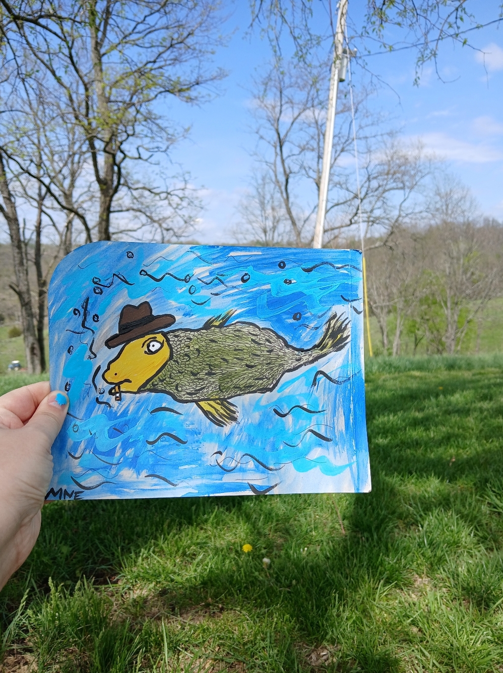Fish Swimming In Hat On Cardboard